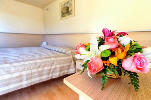 Flaminio Village Bungalow Park - Campground, Room