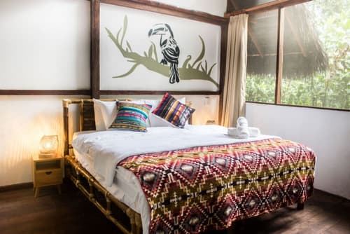 Socia/tel Amazon Tena, Room