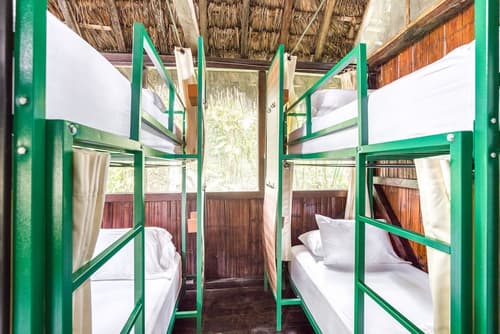 Socia/tel Amazon Tena, Room