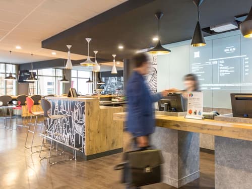 ibis Albi, Primary image