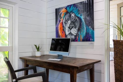 Boucan Canot, Reception