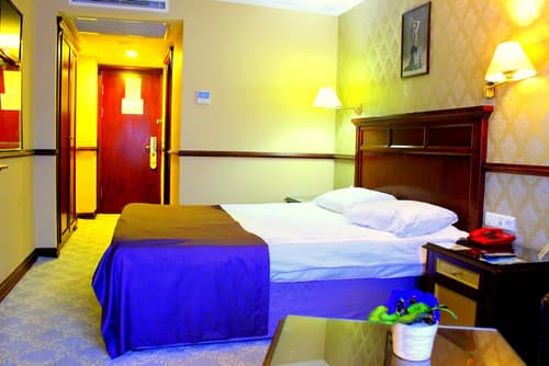 Topkapi Inter Istanbul Hotel, Room