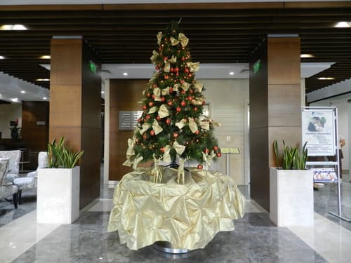Central Hotel Sofia, Interior entrance