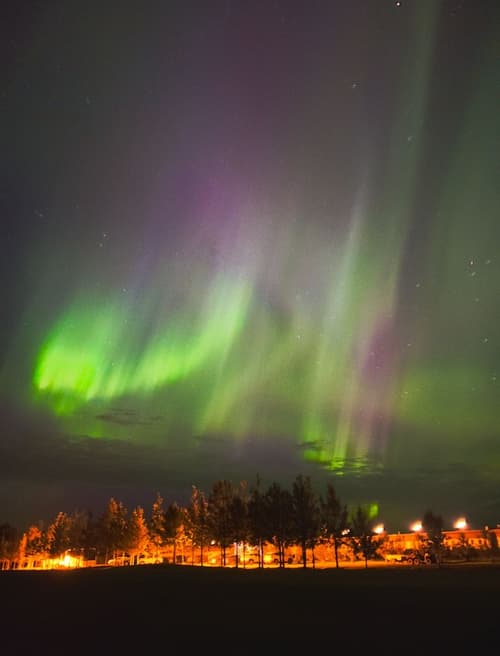 Hotel Hamar, Reception