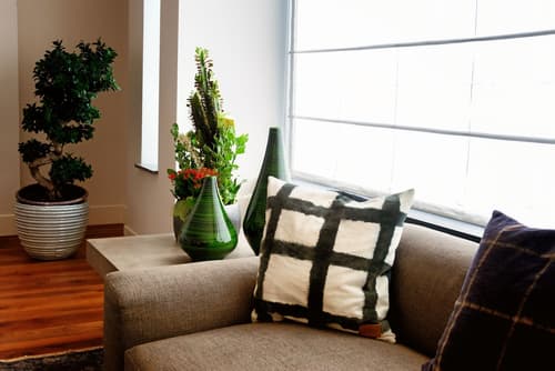 Hotel Politeama, Lobby