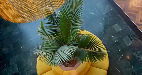 Hotel Vértice Aljarafe, Reception