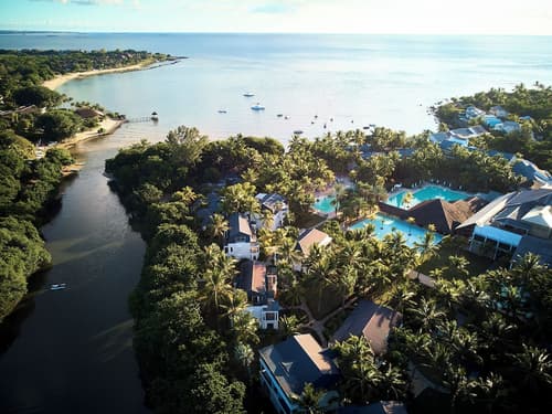 The Ravenala Attitude, Primary image