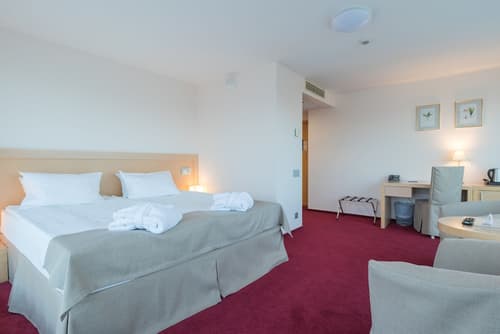 Riga Islande Hotel with FREE parking, Room