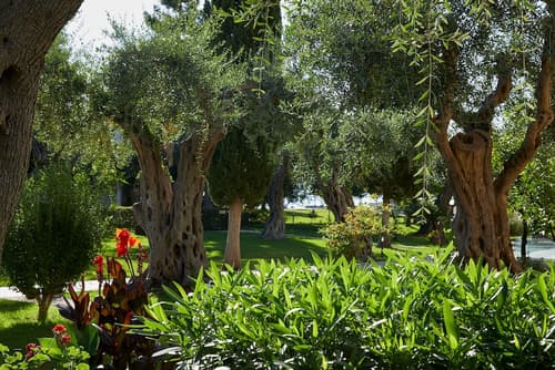 Delfinia Hotel, Billiards