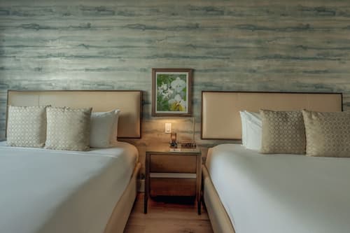 Iberostar Waves Miami Beach, Room