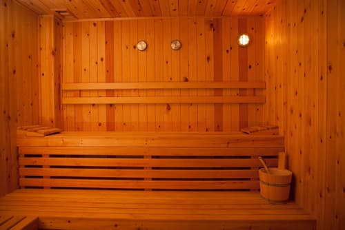 Epavlis Hotel & Spa, Sauna