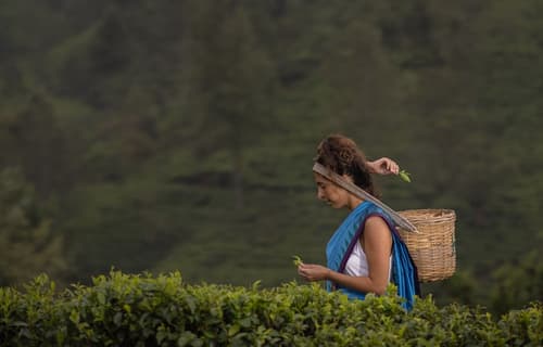 Heritance Tea Factory, Exterior