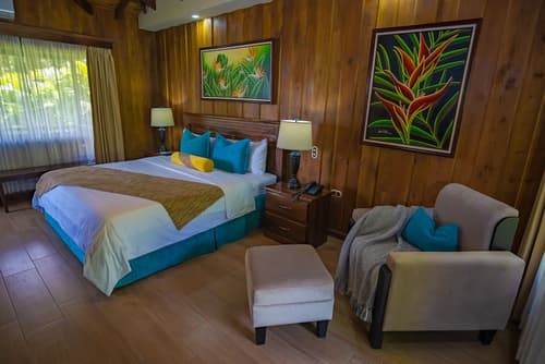 Hotel Lomas del Volcán, Room