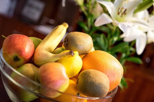 Pytloun Kampa Garden Hotel Prague, Reception