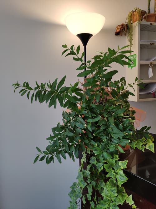 Hotel Feel Inn Venice Airport Rooms, Reception