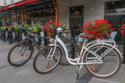 Vienna House by Wyndham Andel's Cracow, Bicycling