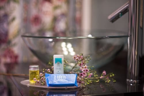 Bar Harbor Manor, Bathroom