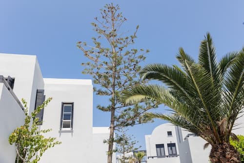 Scorpios Beach Santorini, Primary image