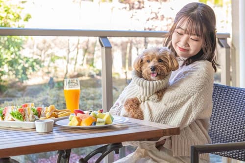 Hyatt Regency Hakone Resort and Spa, Room