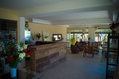 Don Quijote Hotel, Reception