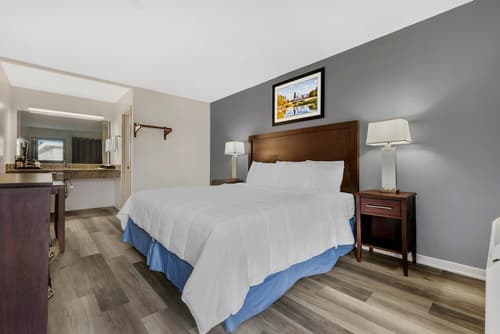 Rodeway Inn Lyons - La Grange, Room