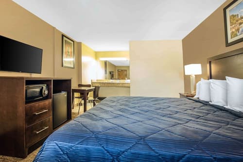 Rodeway Inn Lyons - La Grange, Room