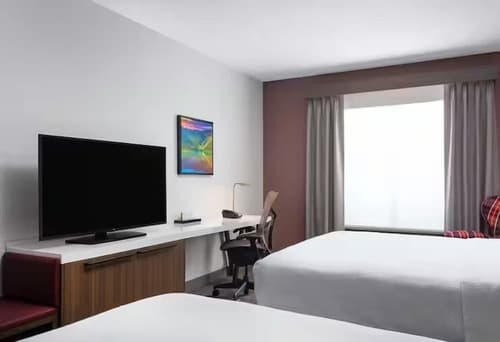 Hilton Garden Inn Kalispell, Room