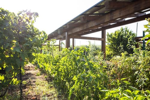 Magaggiari Hotel Resort, Restaurant