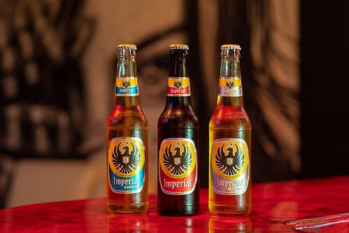 Hotel Magic Mountain SPA & Conference center, Bar (on property)