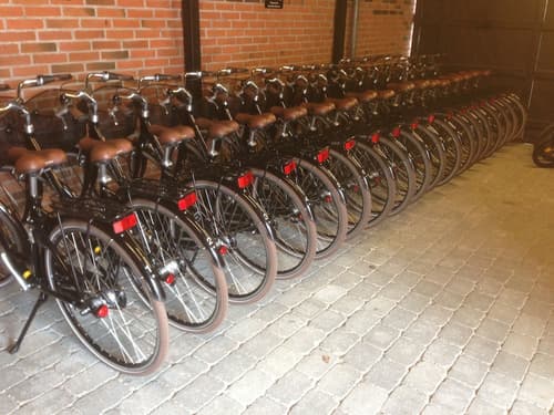 Ribe Byferie Resort, Bicycling