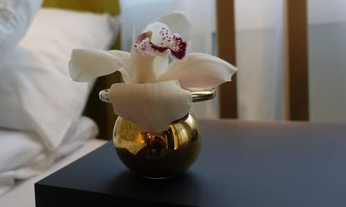 Thon Hotel Lofoten, Room