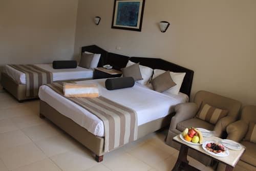 Regina Resort and Aqua Park Hurghada, Room