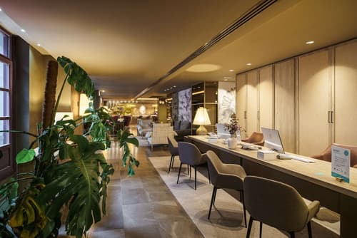 Barceló Oviedo Cervantes, Reception