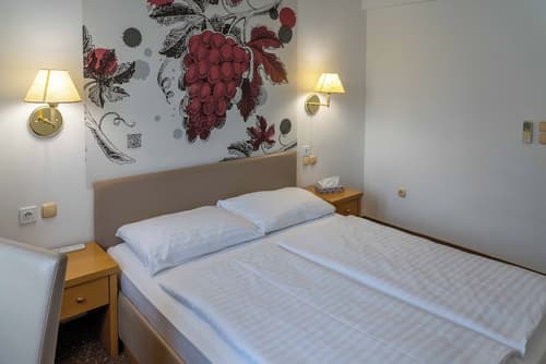 Hotel Piramida, Room