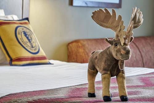 Yellowstone Park Hotel, Room