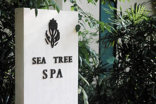 Amorita Resort Bohol, Spa