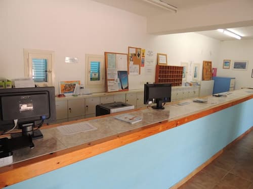 Surfing Beach Village, Reception