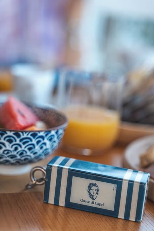 Hotel & Serviced Residence Gocce di Capri Sorrento Coast, Reception