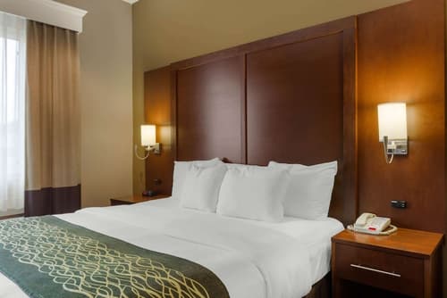 Comfort Inn & Suites Amarillo East, Room