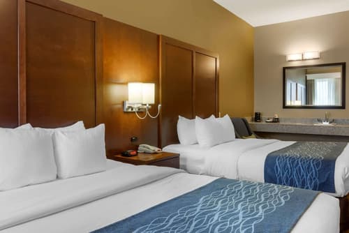 Comfort Inn & Suites Amarillo East, Room