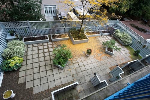 Byward Blue Inn, Terrace/patio