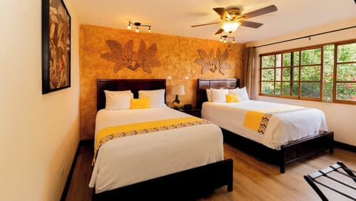 Buena Vista Chic Hotel, Room