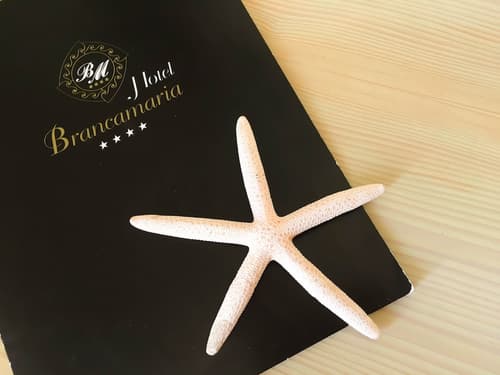 Hotel Brancamaria, Room