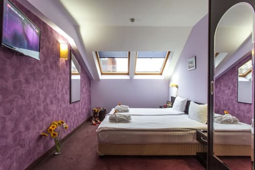 Art Plaza Hotel, Room