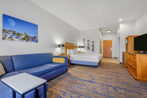 La Quinta Inn & Suites by Wyndham Twin Falls, Room