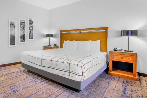 La Quinta Inn & Suites by Wyndham Twin Falls, Room