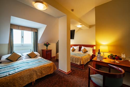 Hotel U Divadla, Room