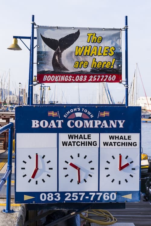 Simon's Town Quayside Hotel, Boating