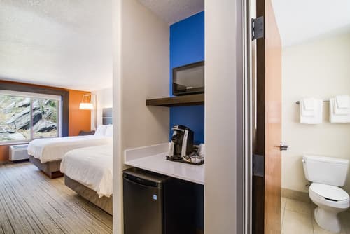 Holiday Inn Express Hotel & Suites Custer by IHG, Room