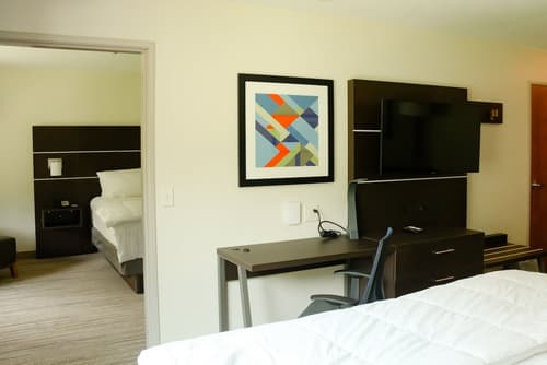 Holiday Inn Express Hotel & Suites Custer by IHG, Room